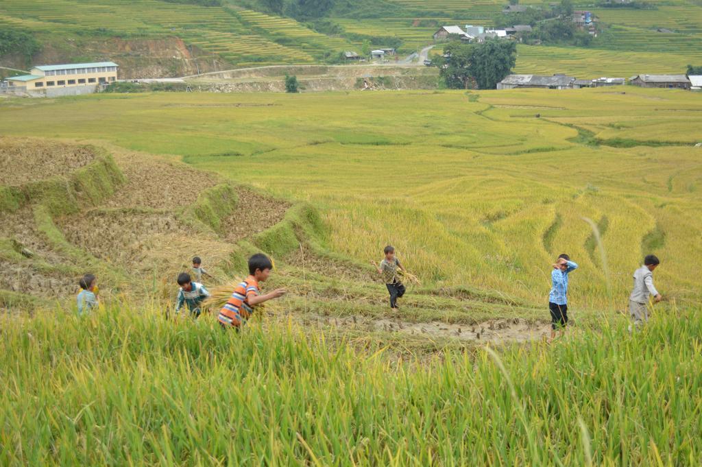 Cau May Homestay Sa Pa Ngoại thất bức ảnh