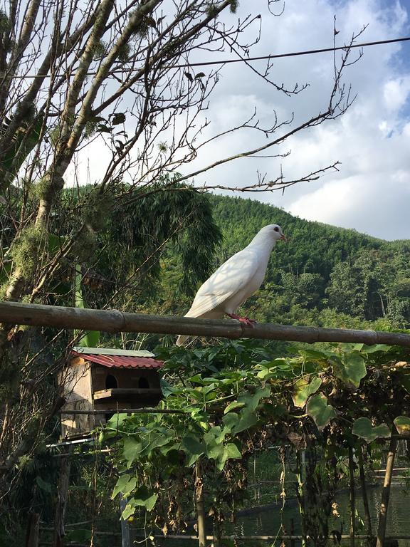 Cau May Homestay Sa Pa Ngoại thất bức ảnh